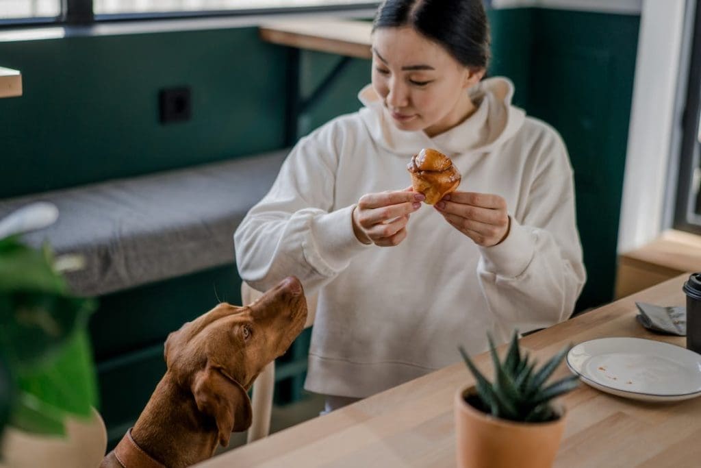 Dining-out-in-manchester-with-a-dog