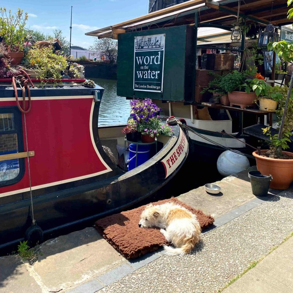 dog-friendly-transport-uberboats