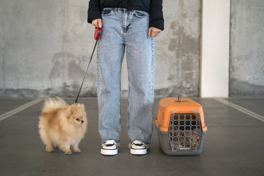 best pet travel insurance UK