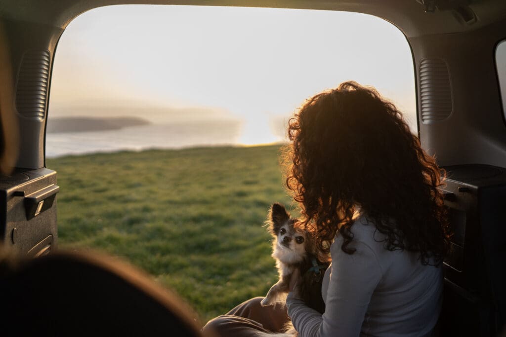 how to find best travel insurance for dog